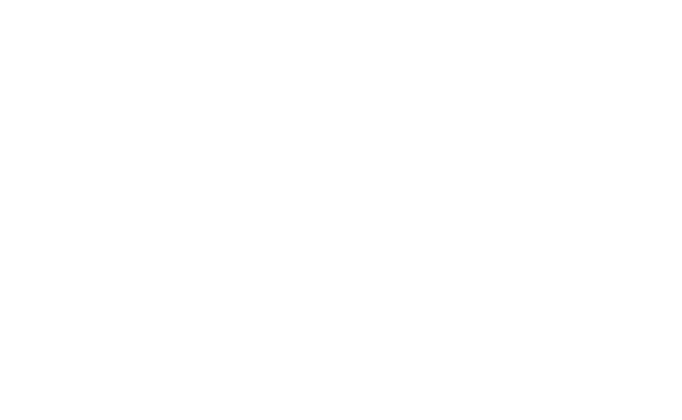 imterval_logo_amarante_blanc